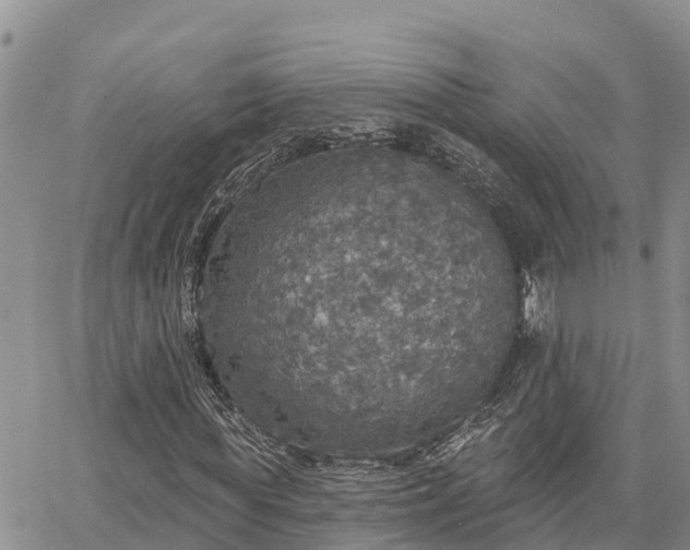 X0000064740819200602171705