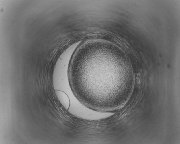 X0000064740820200602171705