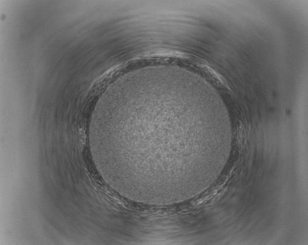 X0000064740821200602171705