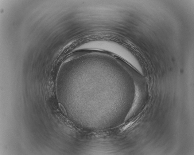 X0000064740822200602171705