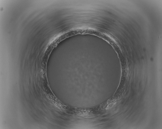 X0000064740823200602171705