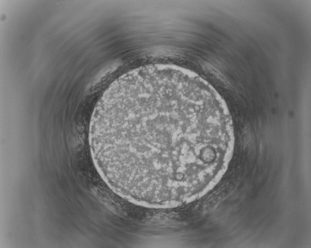 X0000064740824200602171705