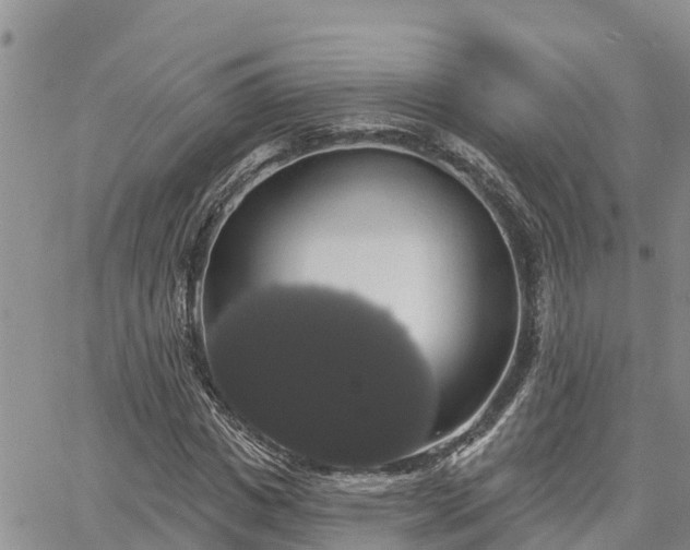 X0000064740825200602171705