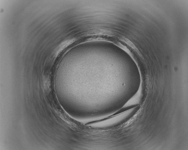 X0000064740826200602171705