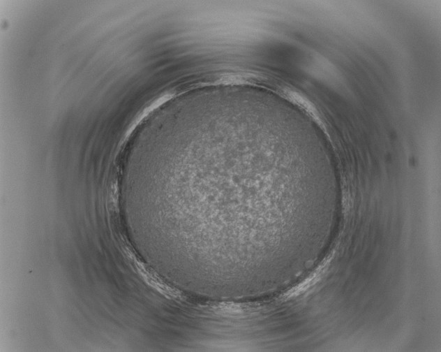 X0000064740827200602171705