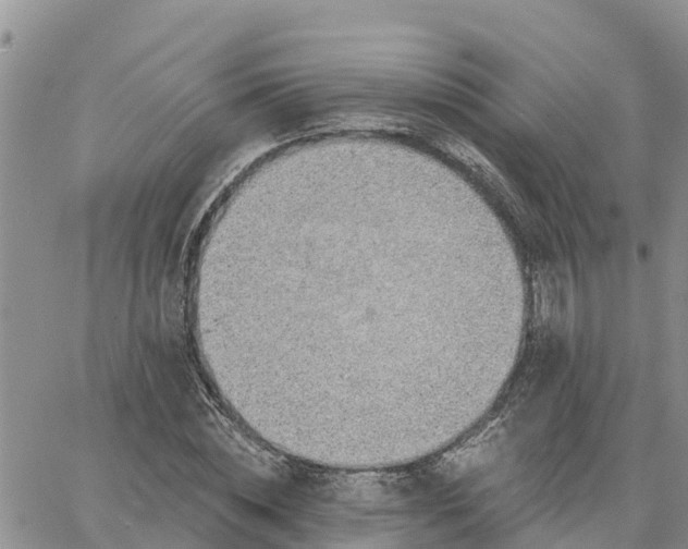 X0000064740828200602171705