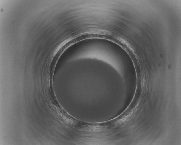 X0000064740829200602171705