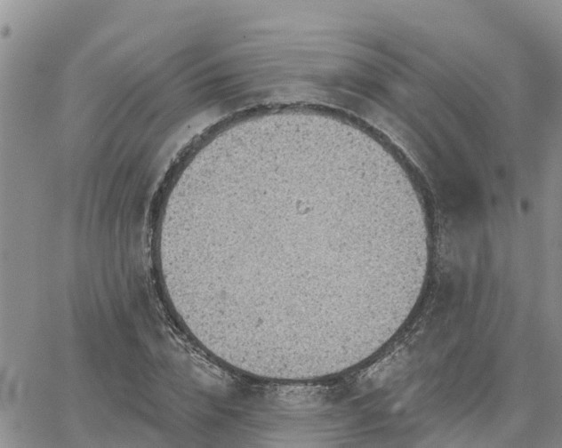 X0000064740832200602171705