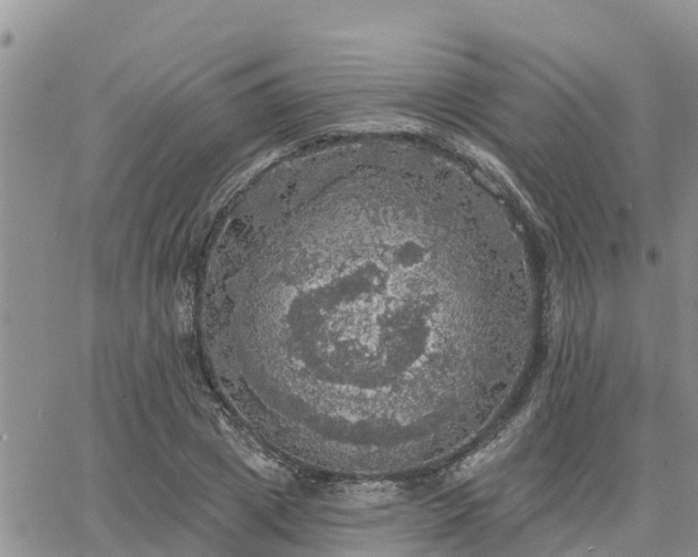 X0000064740833200602171705