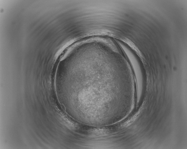 X0000064740834200602171705