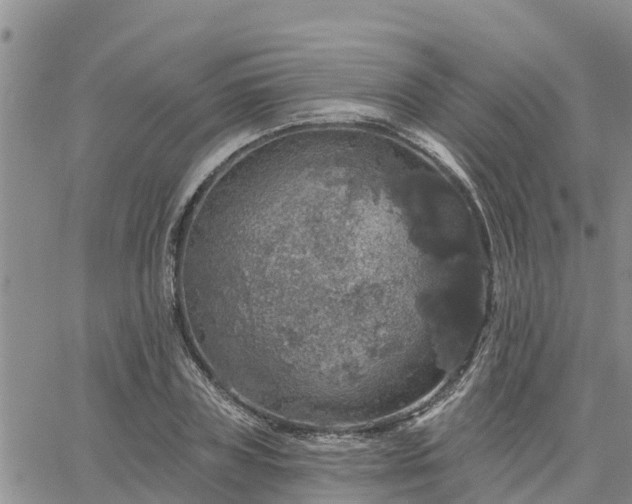 X0000064740835200602171705