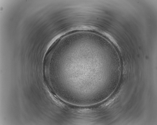 X0000064740837200602171705