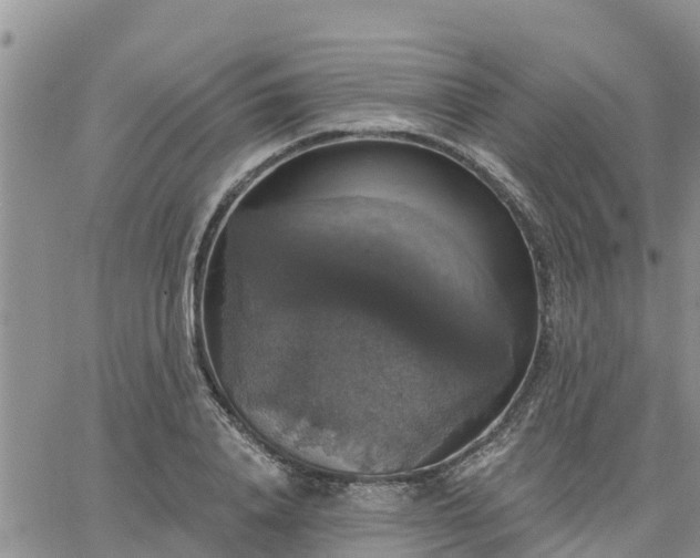 X0000064740840200602171705