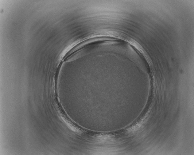 X0000064740842200602171705