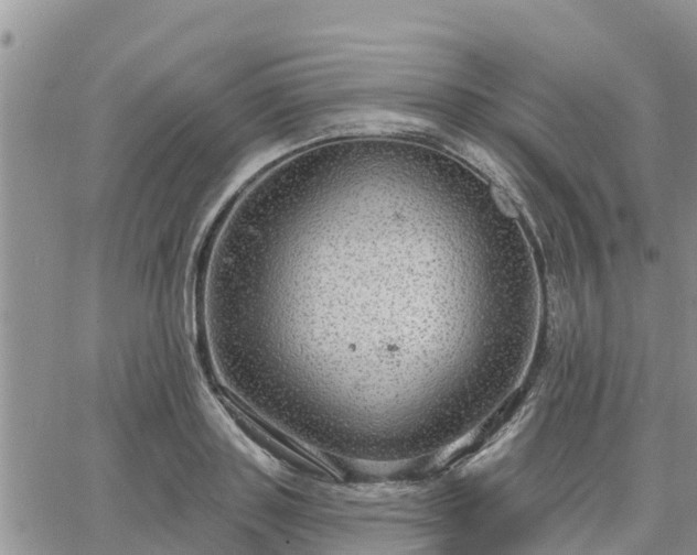 X0000064740843200602171705