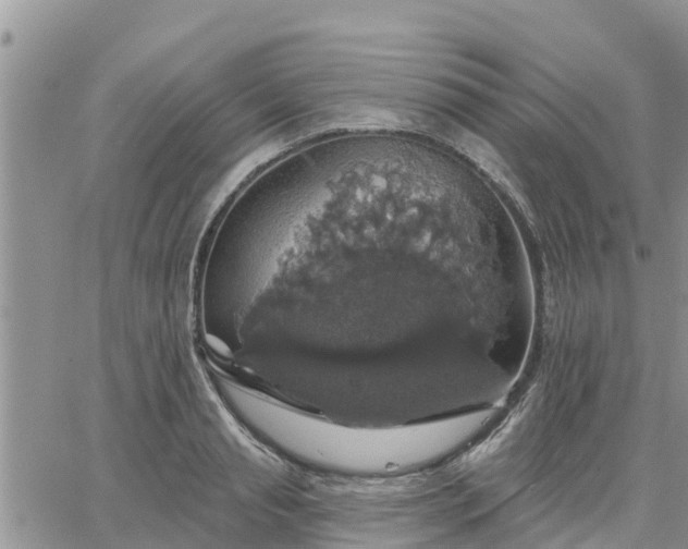 X0000064740845200602171705