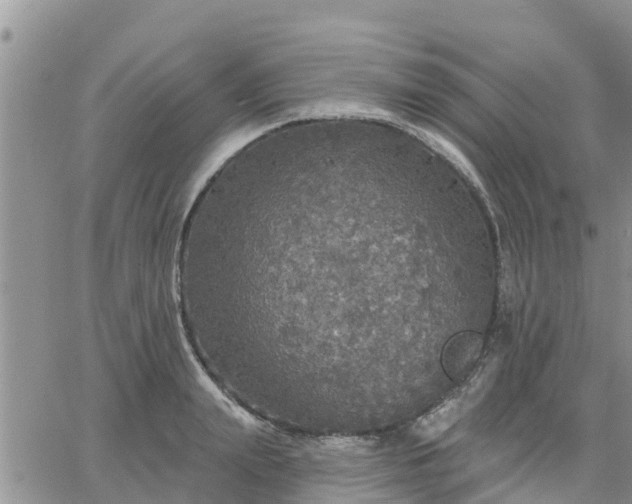 X0000064740847200602171705