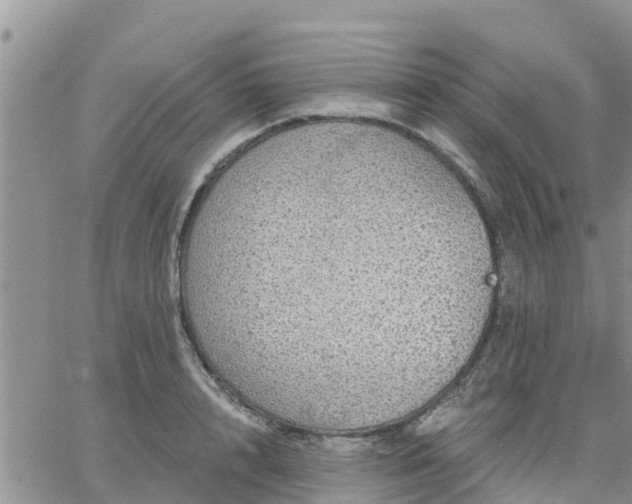 X0000064740848200602171705