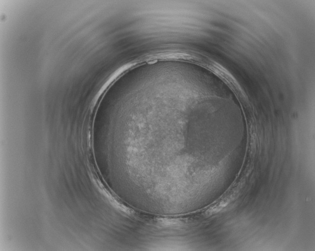 X0000064740852200602171705