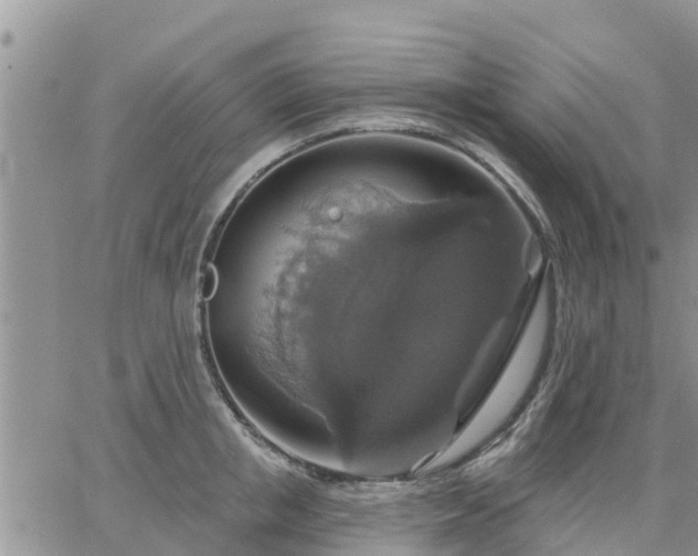 X0000064740853200602171705