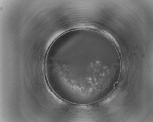 X0000064740855200602171705