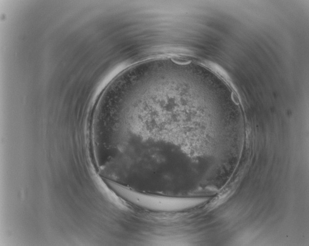 X0000064740859200602171705