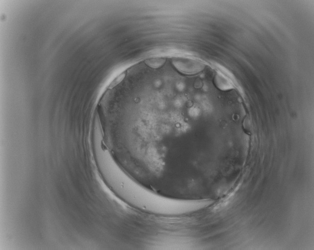 X0000064740863200602171706