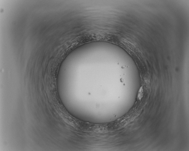 X0000064740865200602171705