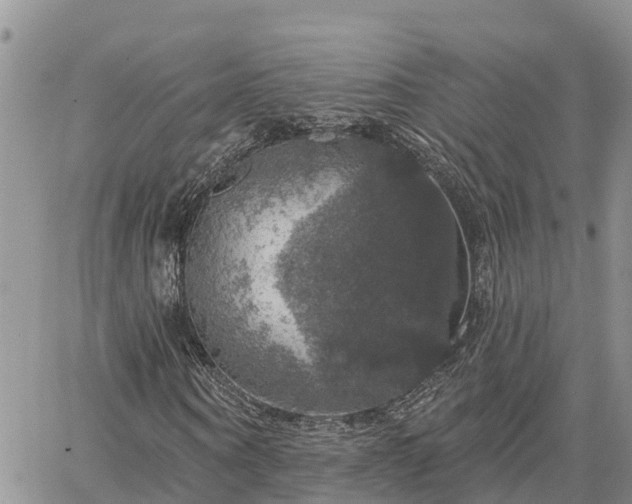 X0000064740866200602171705