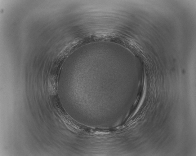 X0000064740868200602171705