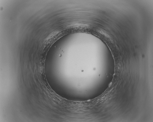 X0000064740869200602171705