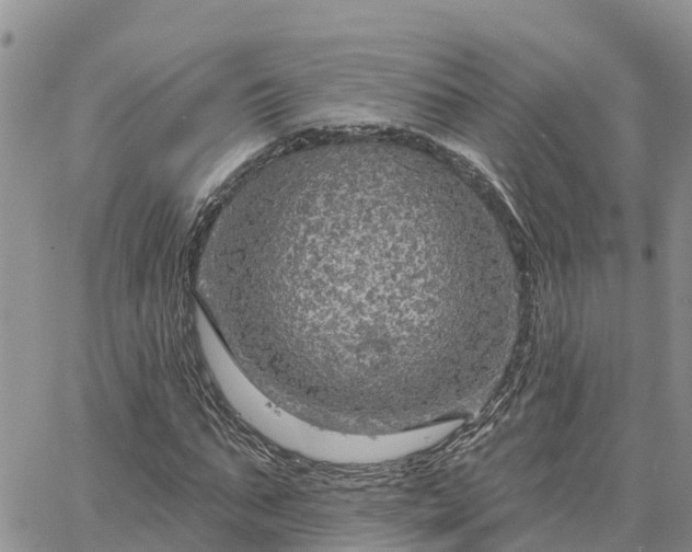 X0000064740871200602171704