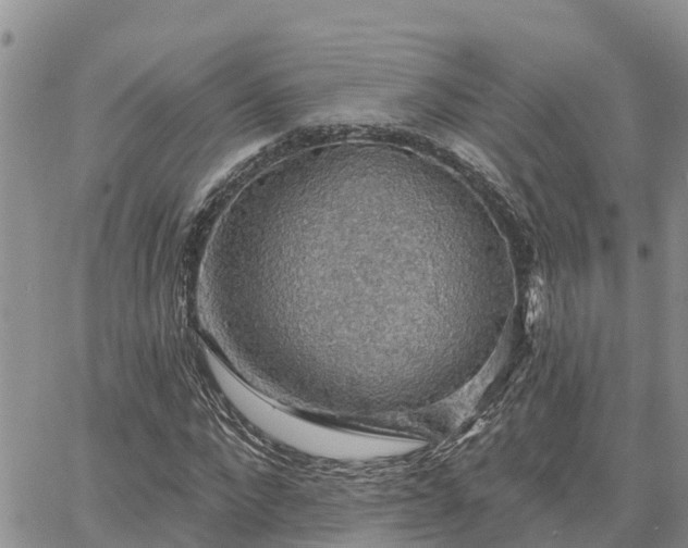 X0000064740872200602171704