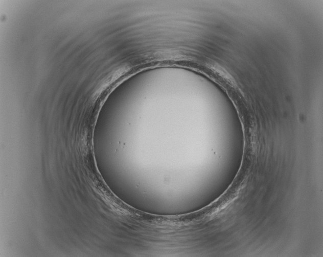 X0000064740873200602171704