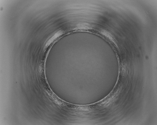 X0000064740874200602171704