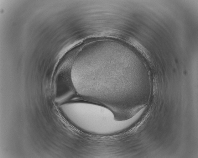 X0000064740876200602171704