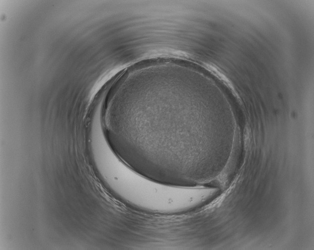 X0000064740877200602171704