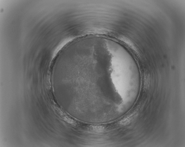 X0000064740878200602171704