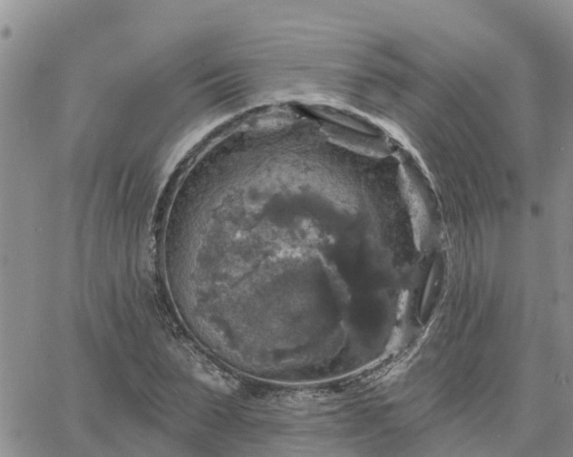 X0000064740879200602171704