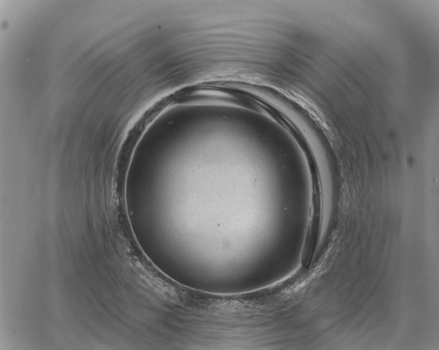 X0000064740880200602171704