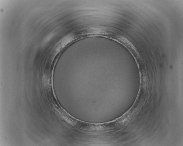 X0000064740882200602171704