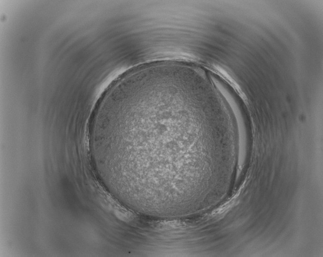 X0000064740883200602171704