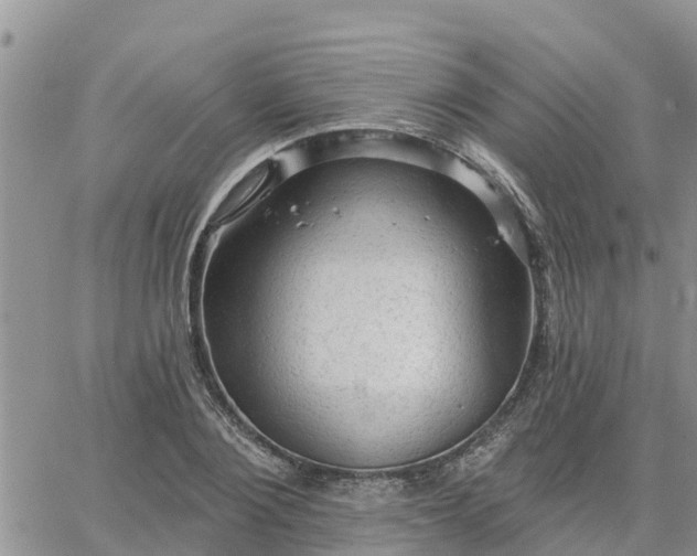 X0000064740884200602171704