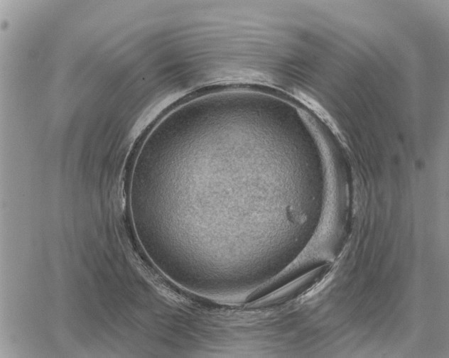 X0000064740885200602171704