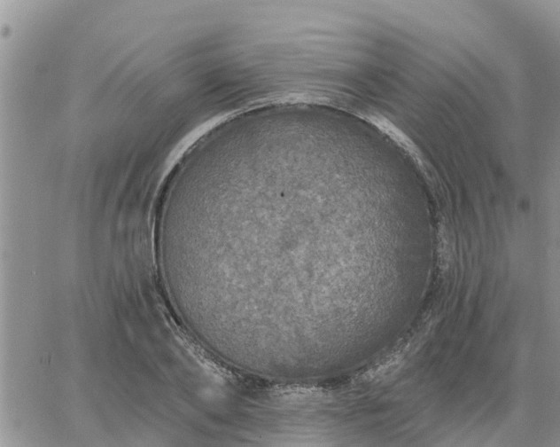 X0000064740886200602171704