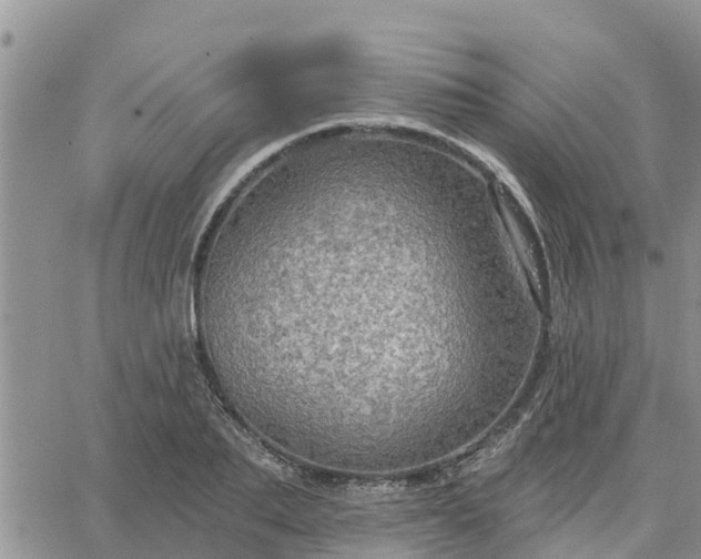 X0000064740887200602171704