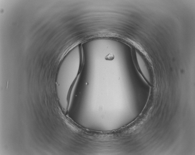 X0000064740889200602171704