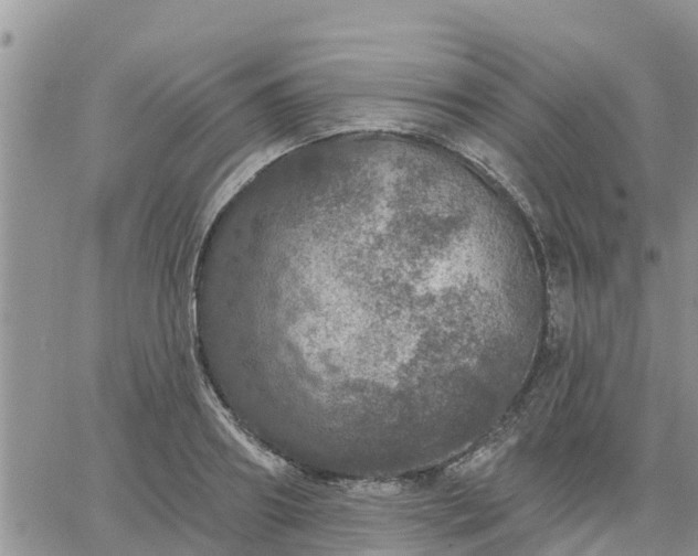 X0000064740890200602171704