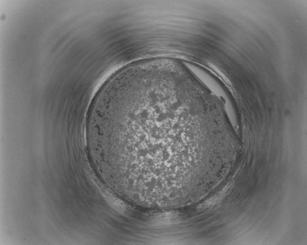 X0000064740891200602171704