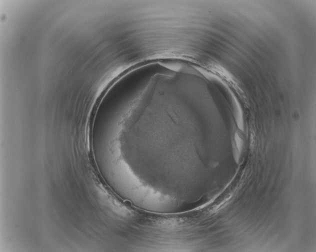 X0000064740892200602171704